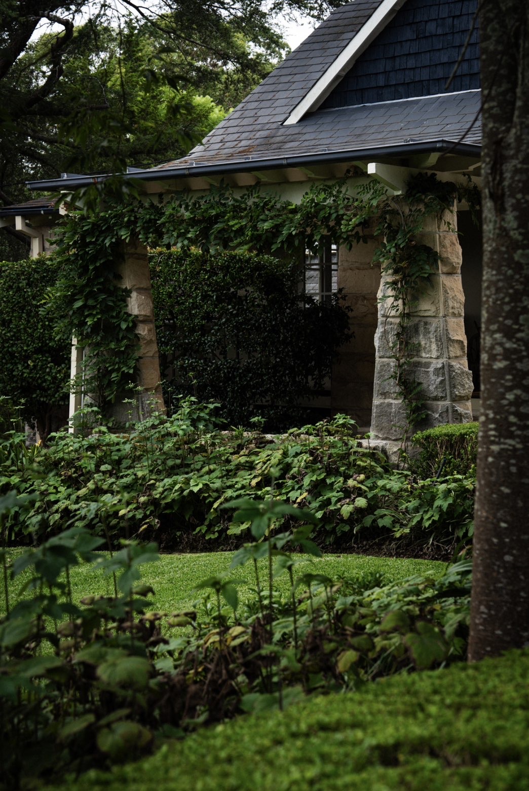 Sandstone cottage with climbing greenery, clipped hedges and manicured lawn