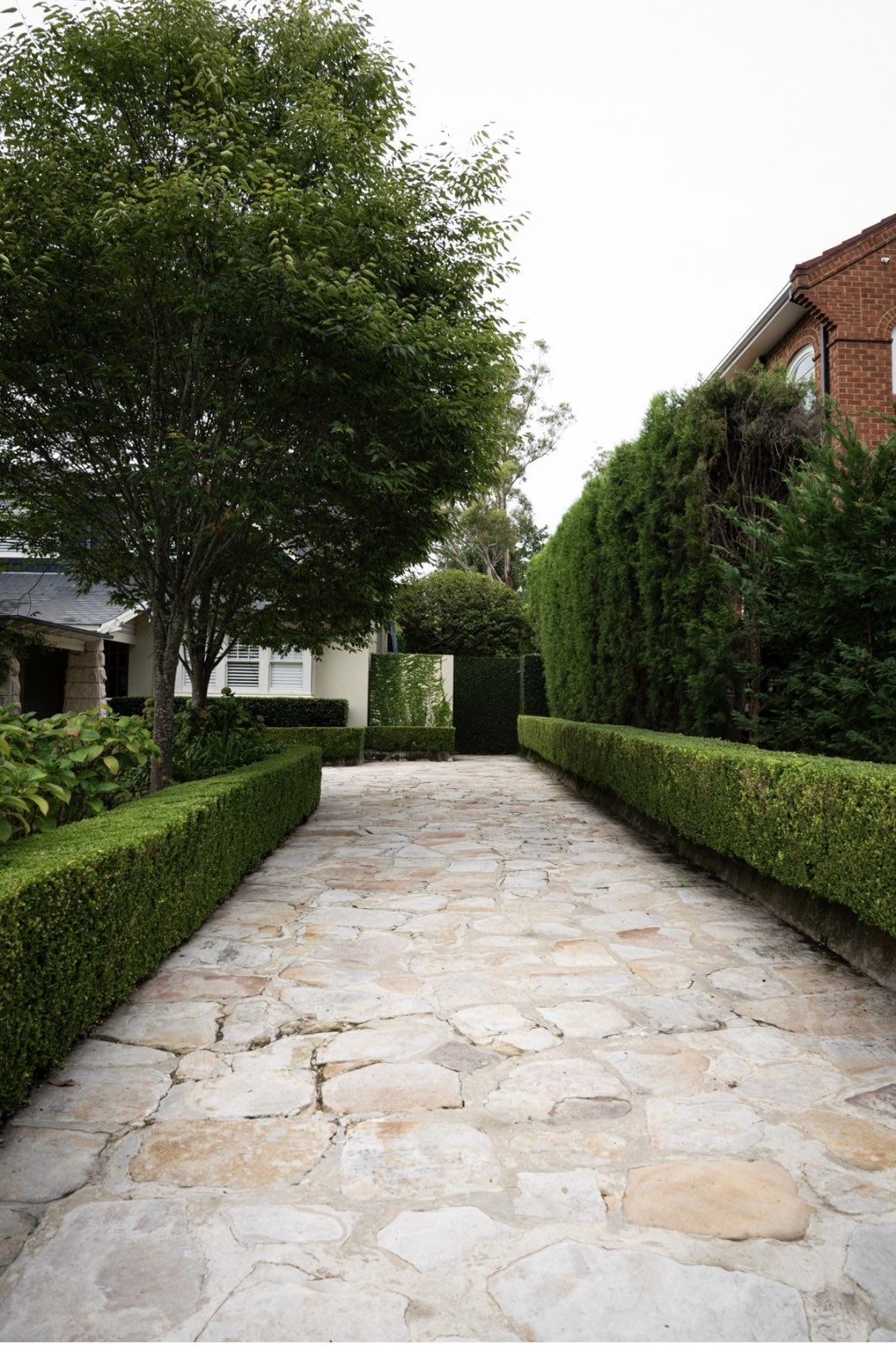 Flagstone driveway lined with tall manicured hedges