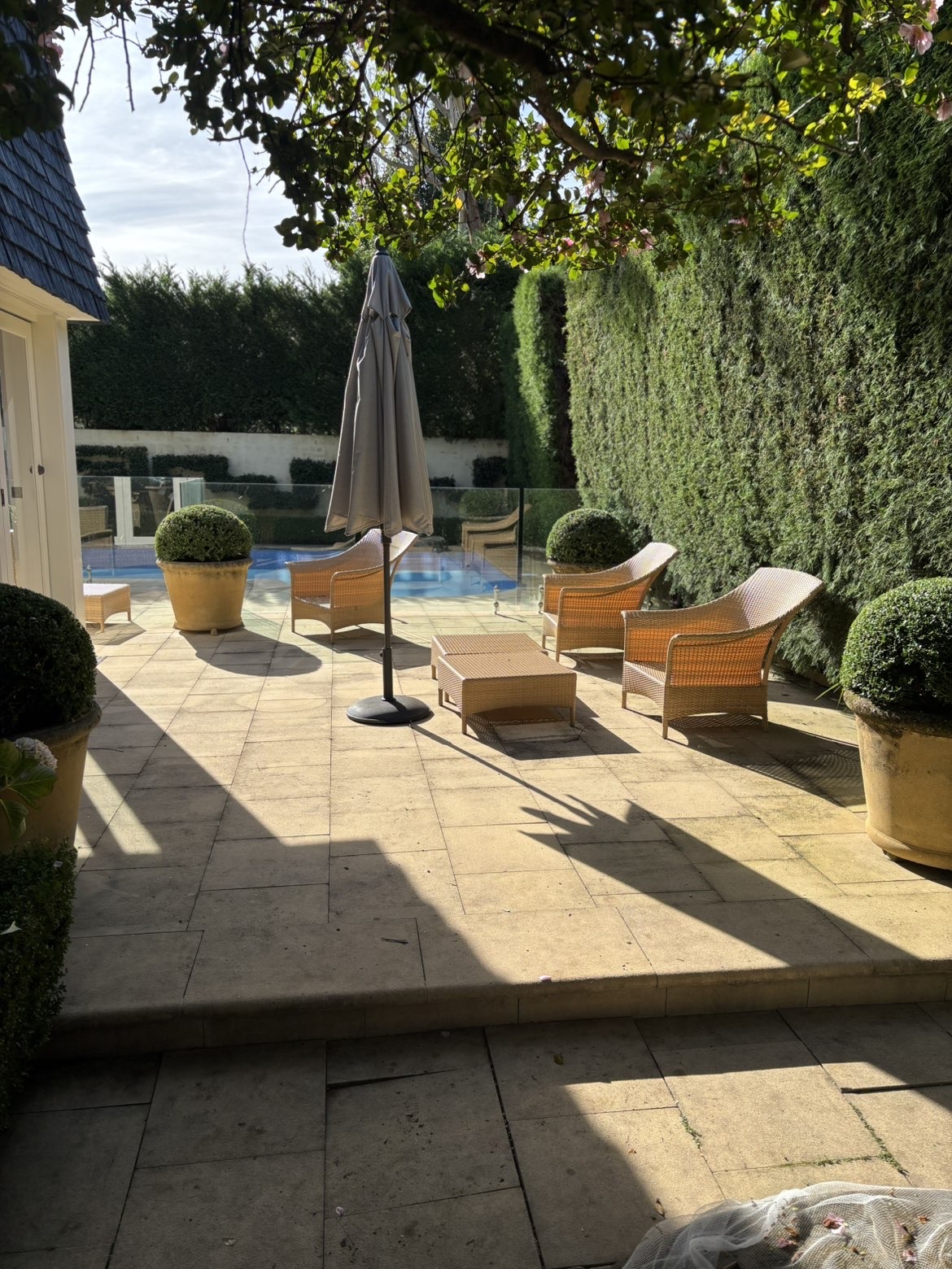 Formal pool terrace with clipped topiary and outdoor seating