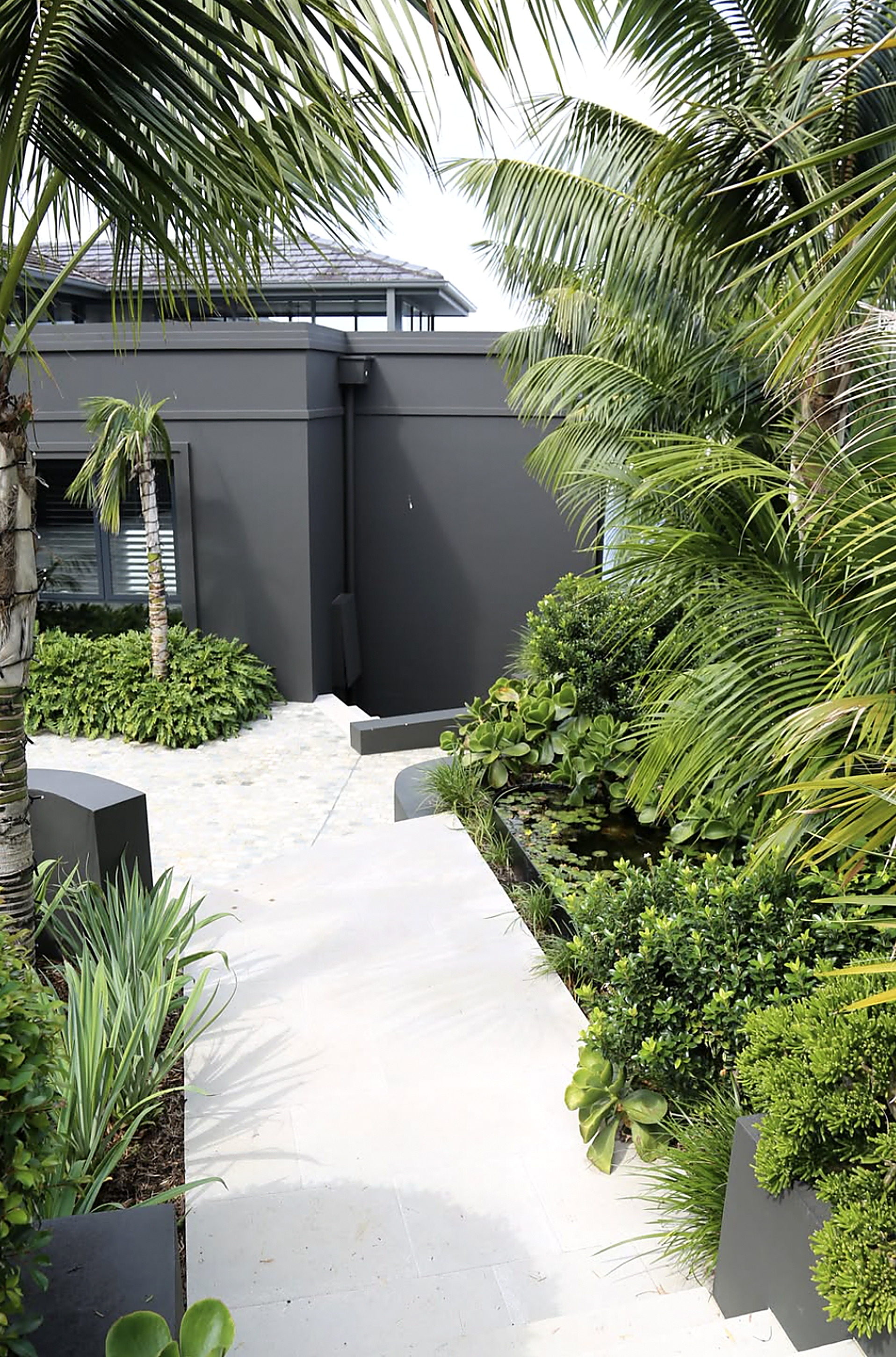 Modern courtyard with palms, box hedging and a water feature