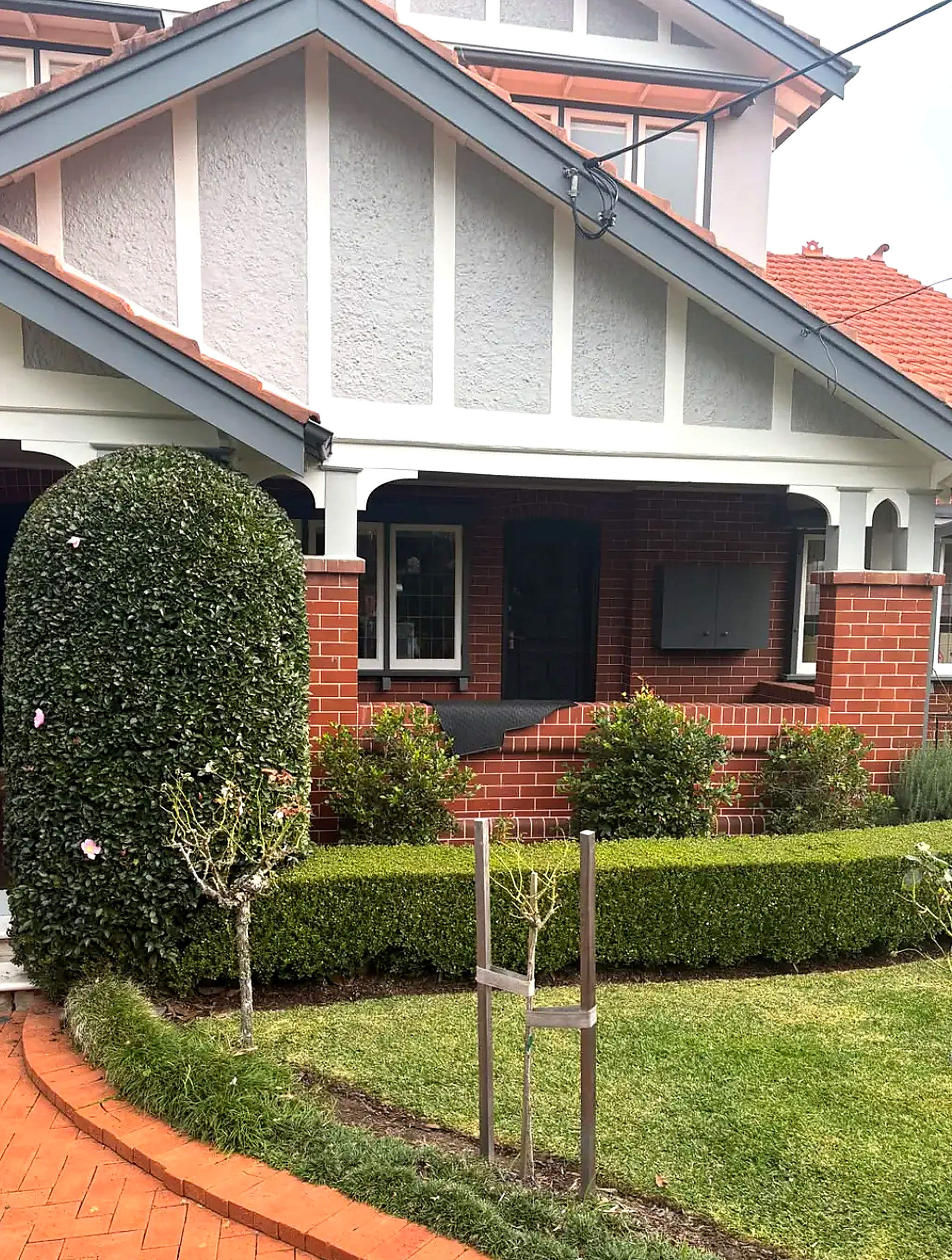 Federation home front garden with clipped hedge and new street tree